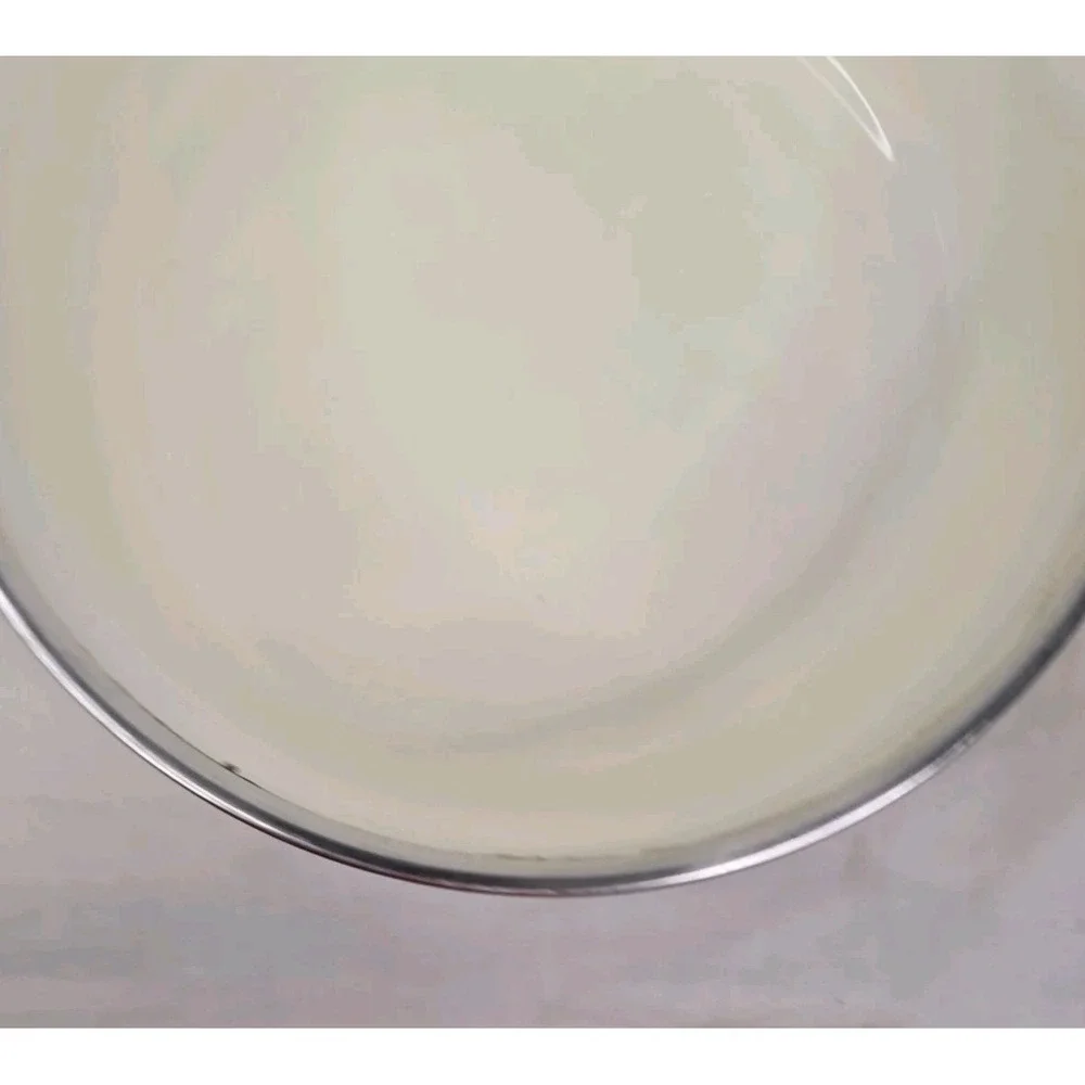 Vintage MARUBISHI Mushroom Enamelware Cookware‎ 9.5